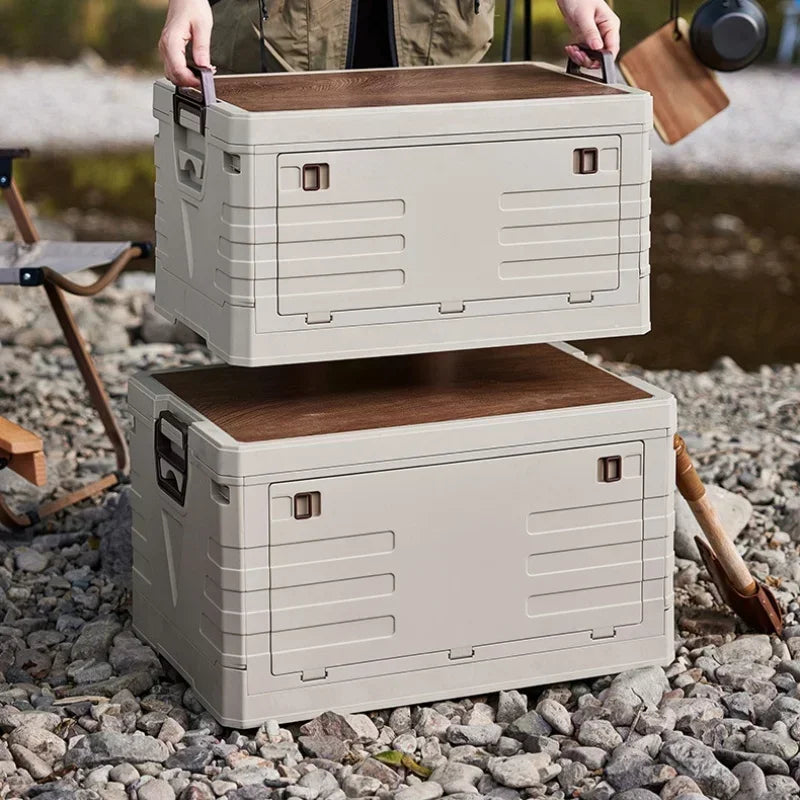 Storage organizer