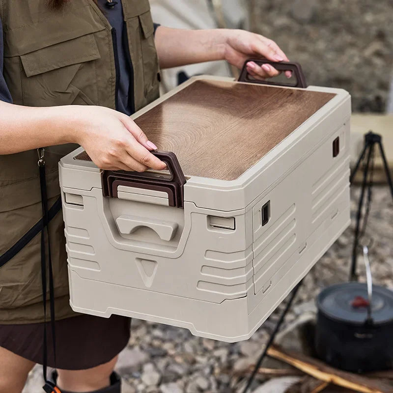 Storage organizer