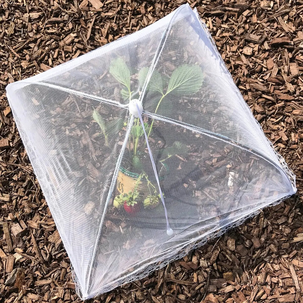 Collapsible outdoor food cover