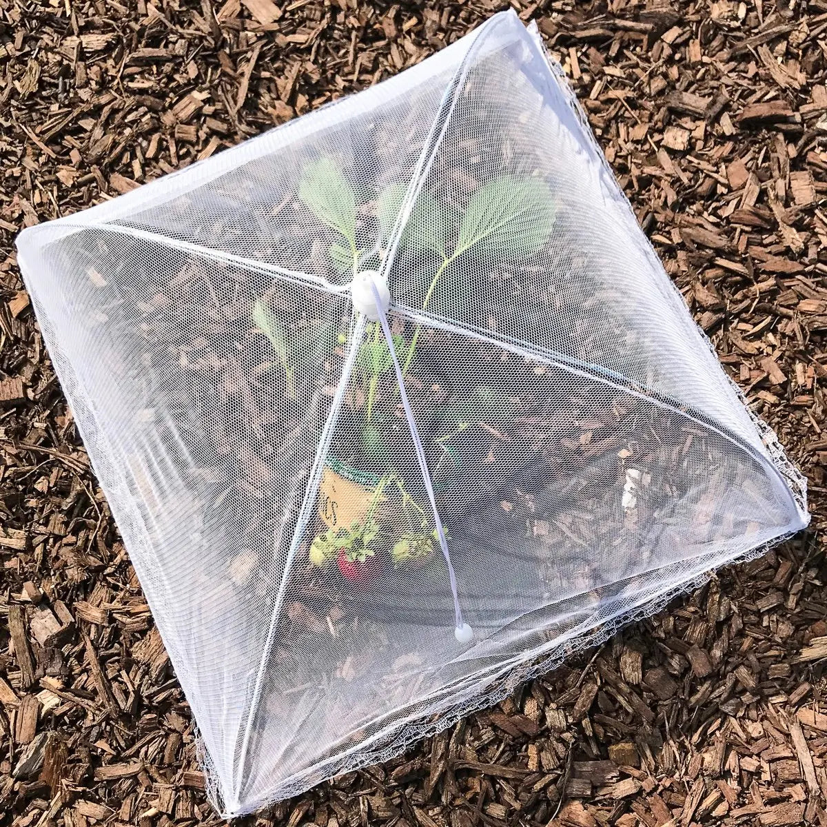 Collapsible outdoor food cover